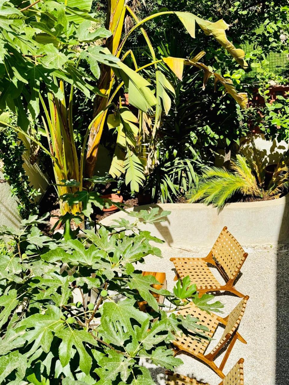 Maison Lyo Suite Luxe Cannes Bagian luar foto